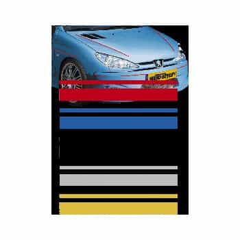 Bandes autocollantes universelles AutoStripe Cool350 - Noir - 2 + 3mm x 975cm