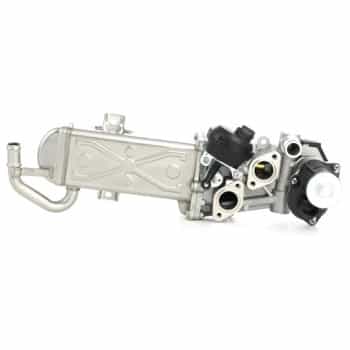 Module-EGR 710861D Wahler