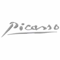 Citroën Picasso emblème