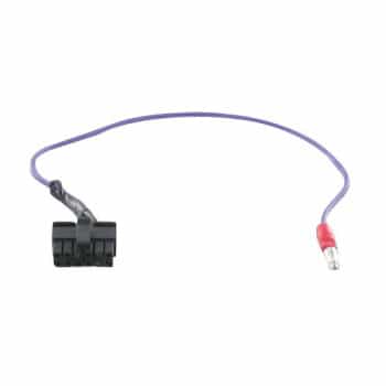 Radiolead Phillips