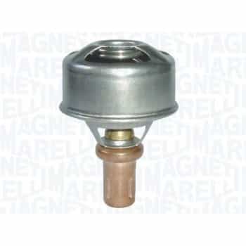 Thermostat d'eau