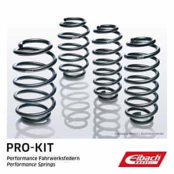 Ressorts courts Eibach ProKit V20/A25