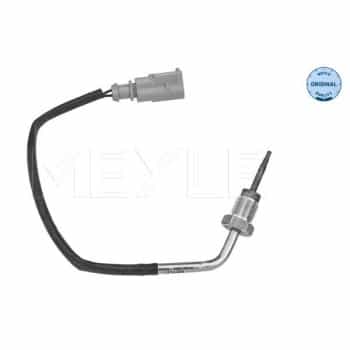 Capteur, température des gaz d'échappement