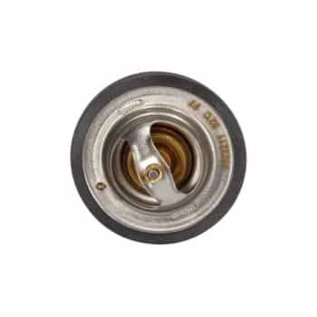 Thermostat d'eau