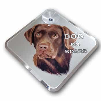 Autocollant de tatouage de voiture Labrador à bord - 11,5x11,5cm