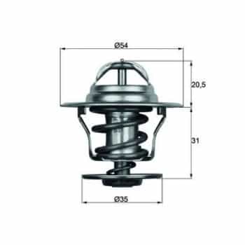 Thermostat d'eau