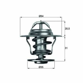 Thermostat d'eau