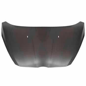 Bonnet