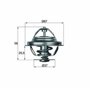 Thermostat d'eau