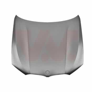 Bonnet