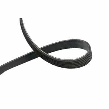 Courroie multi-V DMV-5547 Kavo parts