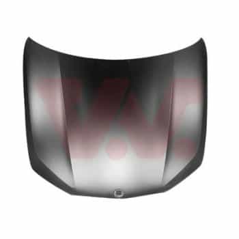 Bonnet