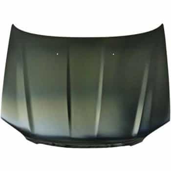 Bonnet