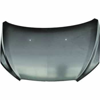 Bonnet