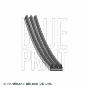 Courroie trapézoïdale en poly AD03R785 Blue Print