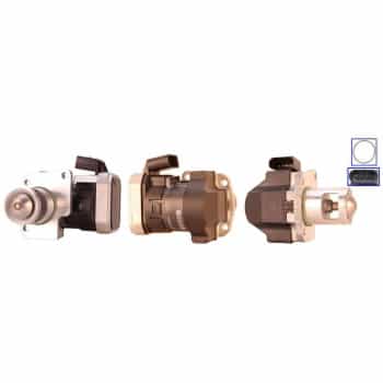 Vanne EGR 717730171 DRI