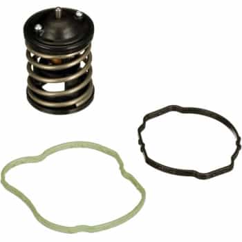 Thermostat d'eau TH47487G1 Gates