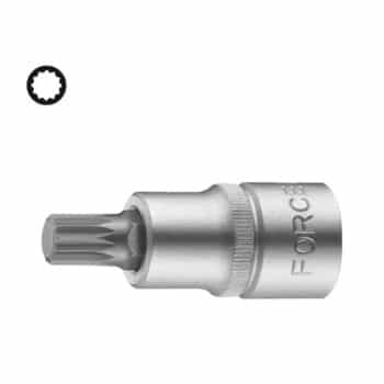 Douille multi-dents Force 1/2" M14