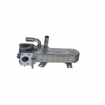 Module-EGR