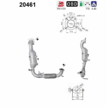 Catalyseur 20461 AS