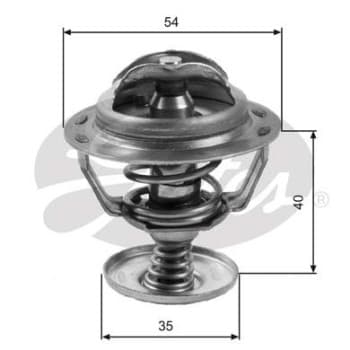 Thermostat d'eau TH06082G1 Gates