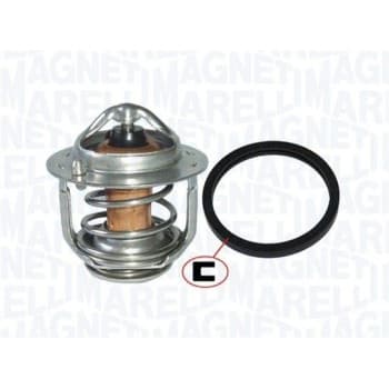 Thermostat d'eau