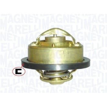 Thermostat d'eau