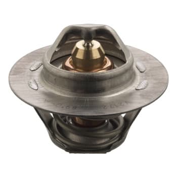 Thermostat d'eau 17694 FEBI