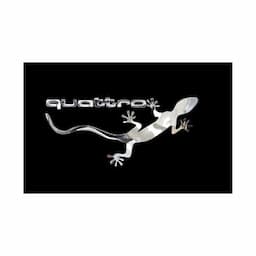 Autocollant Nickel &#39;QUATTRO GECKO&#39; - 90x40mm