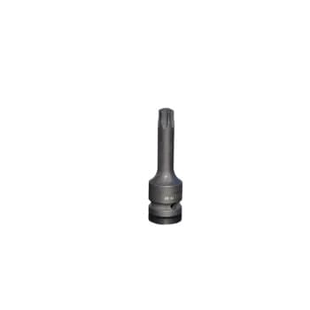 Steiner 1/2 Prise de courant Torx 60