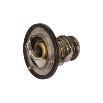 Thermostat d'eau