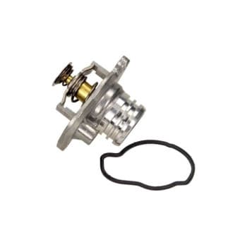 Thermostat d'eau
