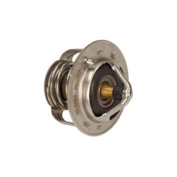 Thermostat d'eau