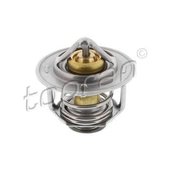 Thermostat d'eau