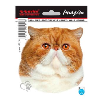 Autocollant De Tatouage De Voiture Persan - 11x11cm