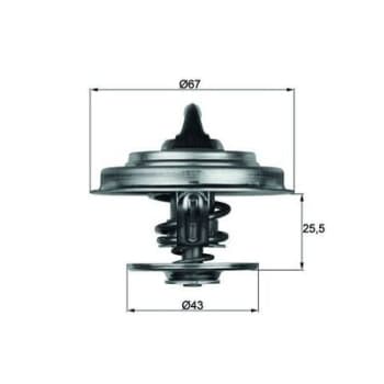 Thermostat d'eau