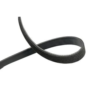 Courroie multi-V DMV-5547 Kavo parts