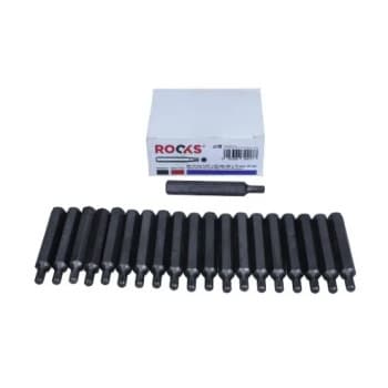 Rooks Bit 10 mm (3/8&quot;) multi-dents M6 x 75 mm, 20 pièces