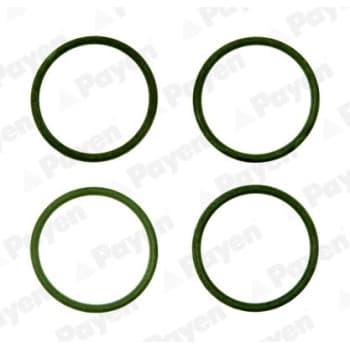 Jeu de joints d'étanchéité, collecteur d'admission HA5028 Payen