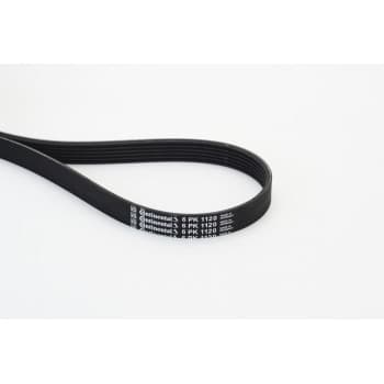 Courroie trapézoïdale à nervures 6PK1120 Contitech