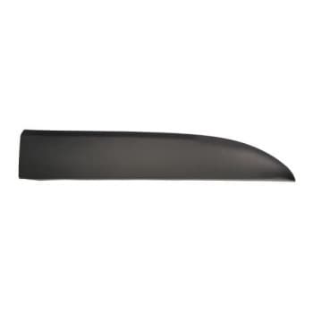 Panneau décoratif/protecteur, porte